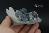 Quinta Studio QDS+32263 Tornado GR.1 3D-Printed & coloured Interior on decal paper (Revell) (Small version) (with 3D-printed resin parts) 1/32